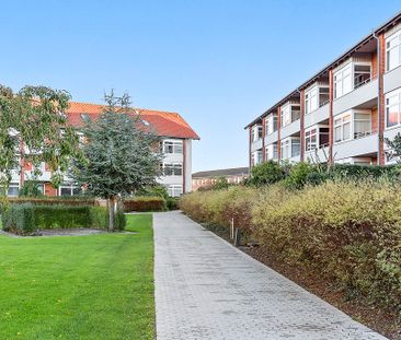 Afd. 11 Drosselhaven - Photo 4