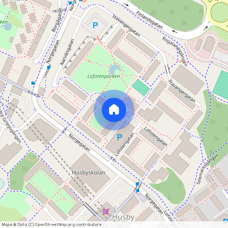 Lofotengatan, Kista