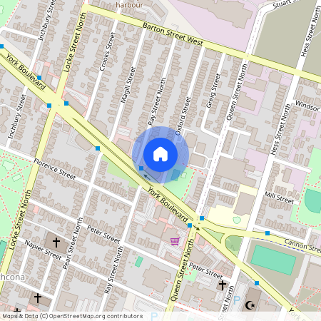 19 OXFORD Street, Hamilton