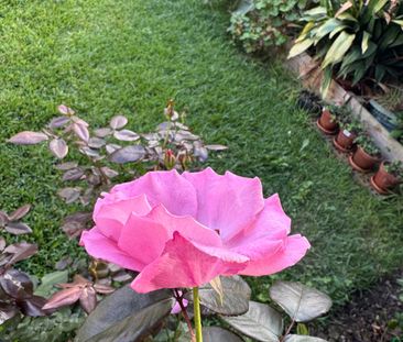 Catherine Field - Photo 4