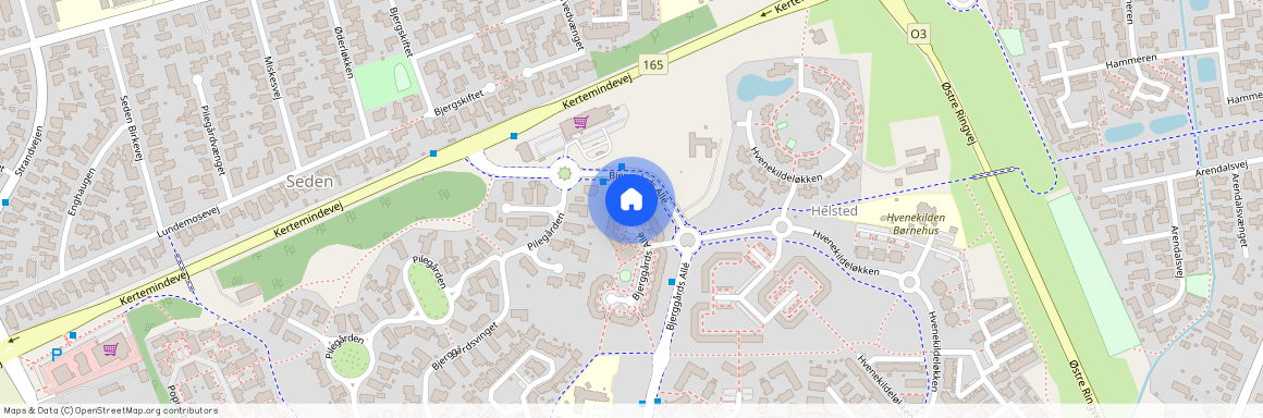 Bjerggårds Allé 21 A, 1., 5240 Odense NØ