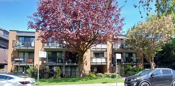 Kitsilano, Bright, Large 1 Bed, 2nd Flr, Oct 1st - Photo 2