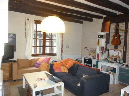 Location Appartement 1 pièce 45m² TOURS 37000 - Photo 2