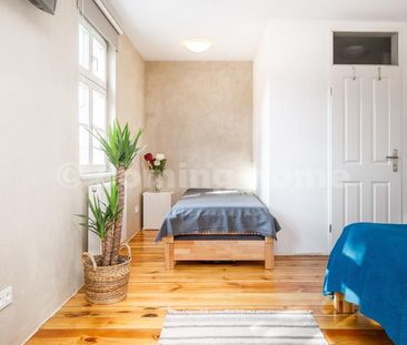 Living History - Photo 5