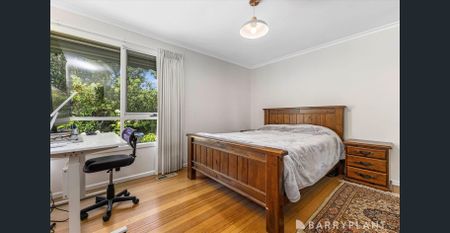 Family Home with a Massive Yard - Photo 2