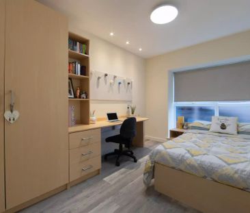 Large Studio Plus - Photo 2