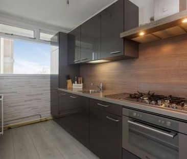 Oost Dorsch 0ong, 1504 Zaandam, Nederland - Foto 1