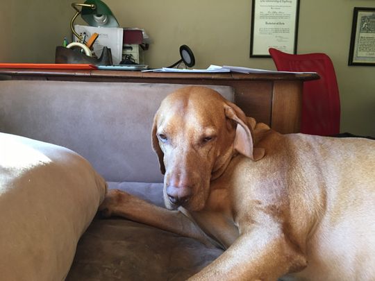 Goonellabah - Photo 1