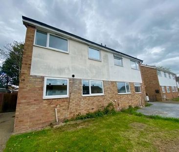 3 bedroom house to rent - Photo 5