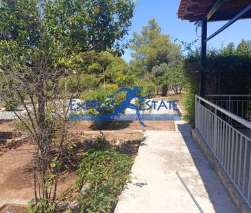 Μονοκατοικία για ενοικίαση Νέα Μάκρη - Photo 6