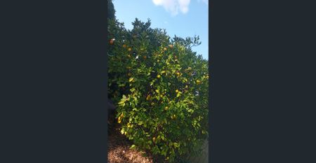 Cul-de-sac off Cul-de-sac Oasis With Country Views Close to Blackwood - Photo 4