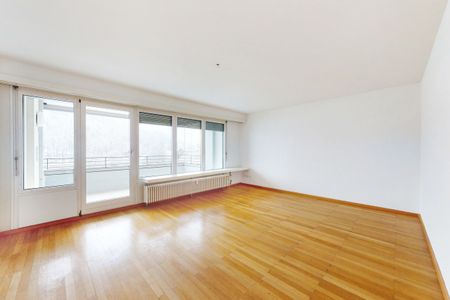 Beste Sicht auf Basel! - Foto 2