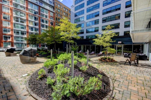 Condo for rent, Montréal (Ville-Marie) - Photo 1