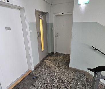 Erstbezug nach Sanierung – 3- Zimmerwohnung mit Loggia - Foto 3
