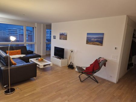 3-ROOM APARTMENT IN LOCARNO (TI), FURNISHED, TEMPORARY - Photo 3