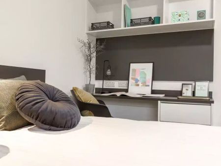 Large Premium Studio - Photo 2