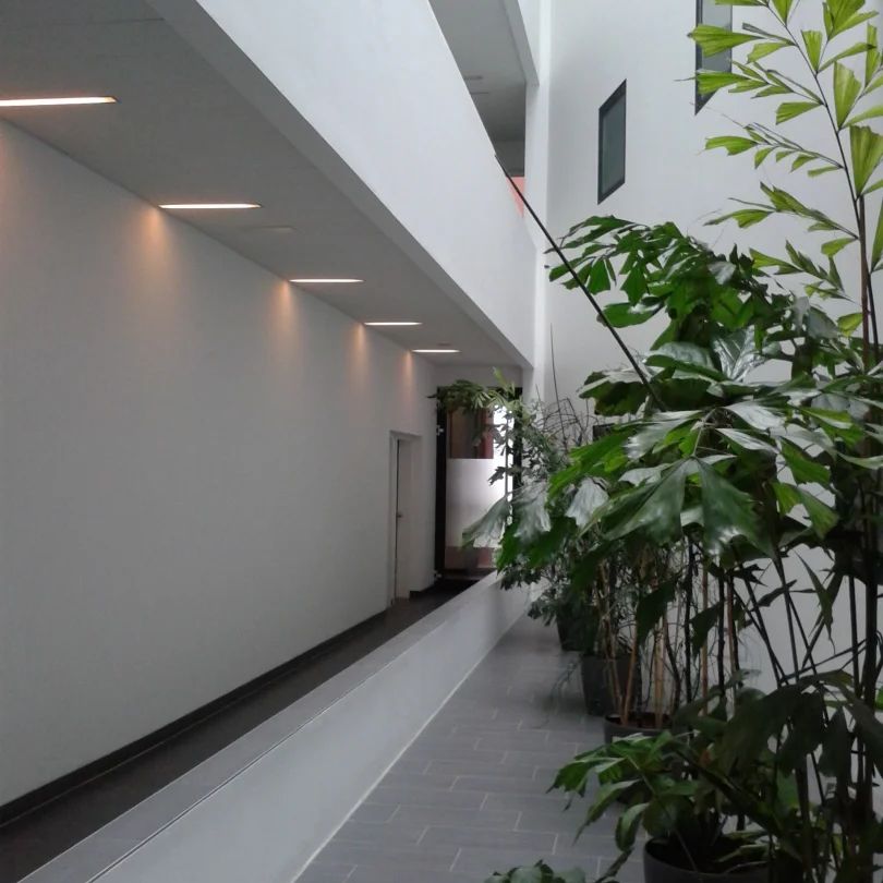 Helle, sonnige 2-Zimmer Wohnung mit sehr großer sonniger Loggia im Zentrum von Ried - Foto 1