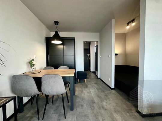 Jasne Błonia kawalerka na wynajem po remoncie - Zdjęcie 1