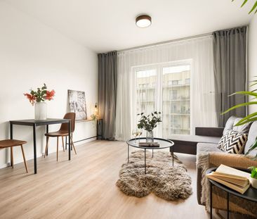 Pronájem bytu 1+kk 25 m² - Fotografie 1