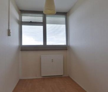 Perim 0ong, 1503 Zaandam, Nederland - Photo 3