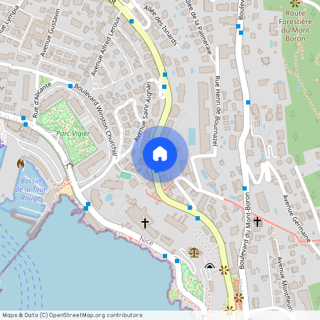 97 BD CARNOT, NICE MONT BORON