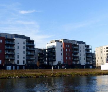 Location Appartement 4 pièces 90m² ST ANDRE LEZ LILLE 59350 - Photo 6