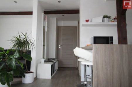 Pronájem podkrovního bytu 1+kk s terasou, 36 m - Photo 4