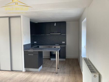 Location Appartement 1 pièce 30m² CHARLIEU 42190 - Photo 3