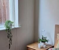 Elwood - Photo 6