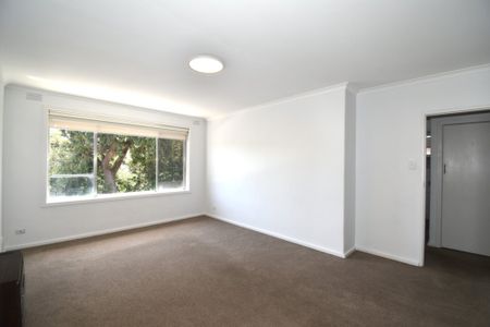 Spacious Apartment & Great Location - Photo 3