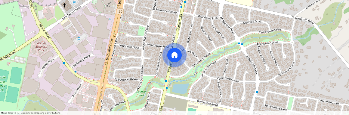 309 Chapel Road, Flat Bush, Manukau City