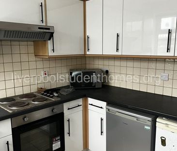 Albany Road, Liverpool - Photo 2