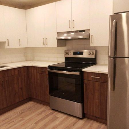 very nice and big 3.5 apartment for rent-APPLIANCES INCLUDED - Photo 3