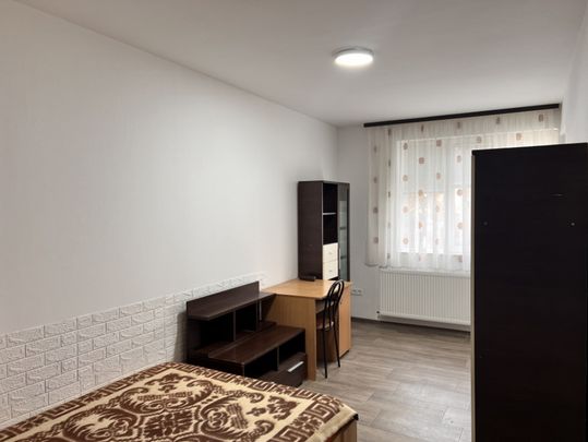 Garsoniera spatioasa renovata Lazaret Compa str Otelarilor - Fotografie 1