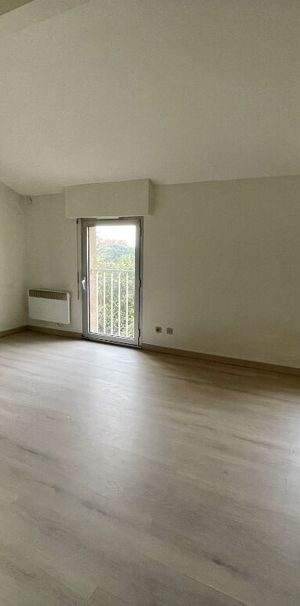 Location appartement 1 pièce, 28.00m², Fonsorbes - Photo 1