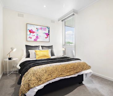 Spacious Sun-lit Living, Private Leafy Views - Photo 3