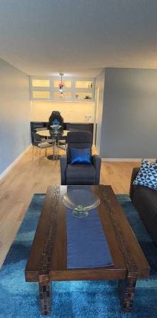 Renovated "Canuck Plaza" Apartment in Central Maple Ridge! Cat okay! - Photo 1