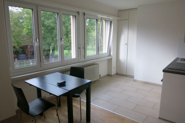 Gemütliche 1.5-Zimmer-Wohnung in Effretikon – sofort verfügbar! Befirstet bis 31 März 2027. - Photo 1