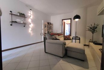 Grazioso tricolare in contesto di corte.