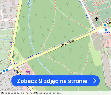 Duża kawalerka po remoncie z ogrodem i parkingiem - Zdjęcie 1