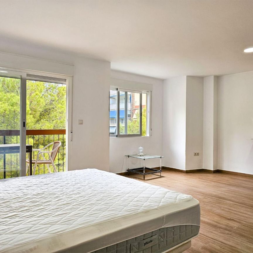 Piso de alquiler en Calle Pintor Murillo, 57, Campoamor - Photo 1