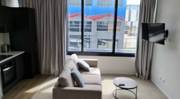 Furnished apartment located on the Taranaki Street - Photo 1