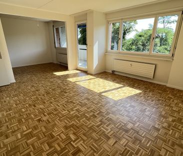 Urbanes Wohnen im Grünen: 2019 sanierte 3-Zimmerwohnung in Muttenz - Foto 4