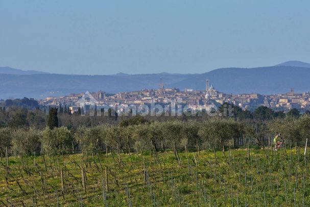 Villa unifamiliare via Roma 3, Centro, Castelnuovo Berardenga - Photo 1