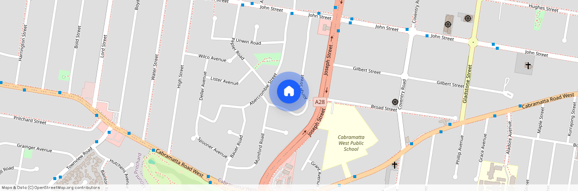 4 Arana Place, NSW 2166, Cabramatta West