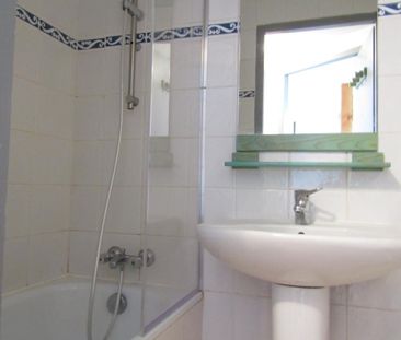 Location Appartement 3 pièces 45m² BRIATEXTE 81390 - Photo 3