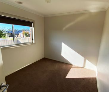 45 Peeler Street, Wodonga VIC 3690 - House For Rent | Domain - Photo 2
