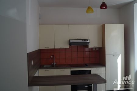 Location Appartement 3 pièces 47m² BELFORT 90000 - Photo 3
