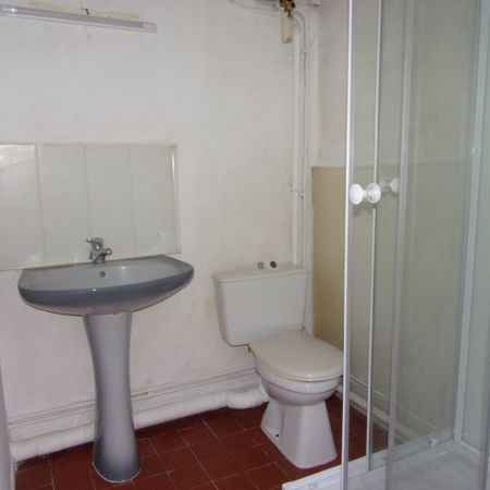 Location Appartement 1 pièce 30m² CAUDEBEC LES ELBEUF 76320 - Photo 3