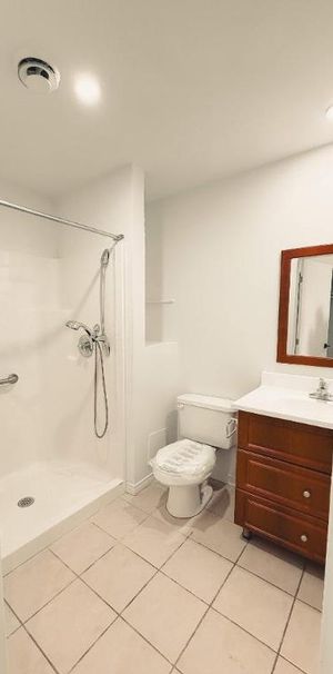 1 CH - 1 SDB - Montréal - $1,120 /mo - Photo 1